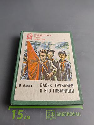 Васёк Трубачёв и его товарищи. Книга 3