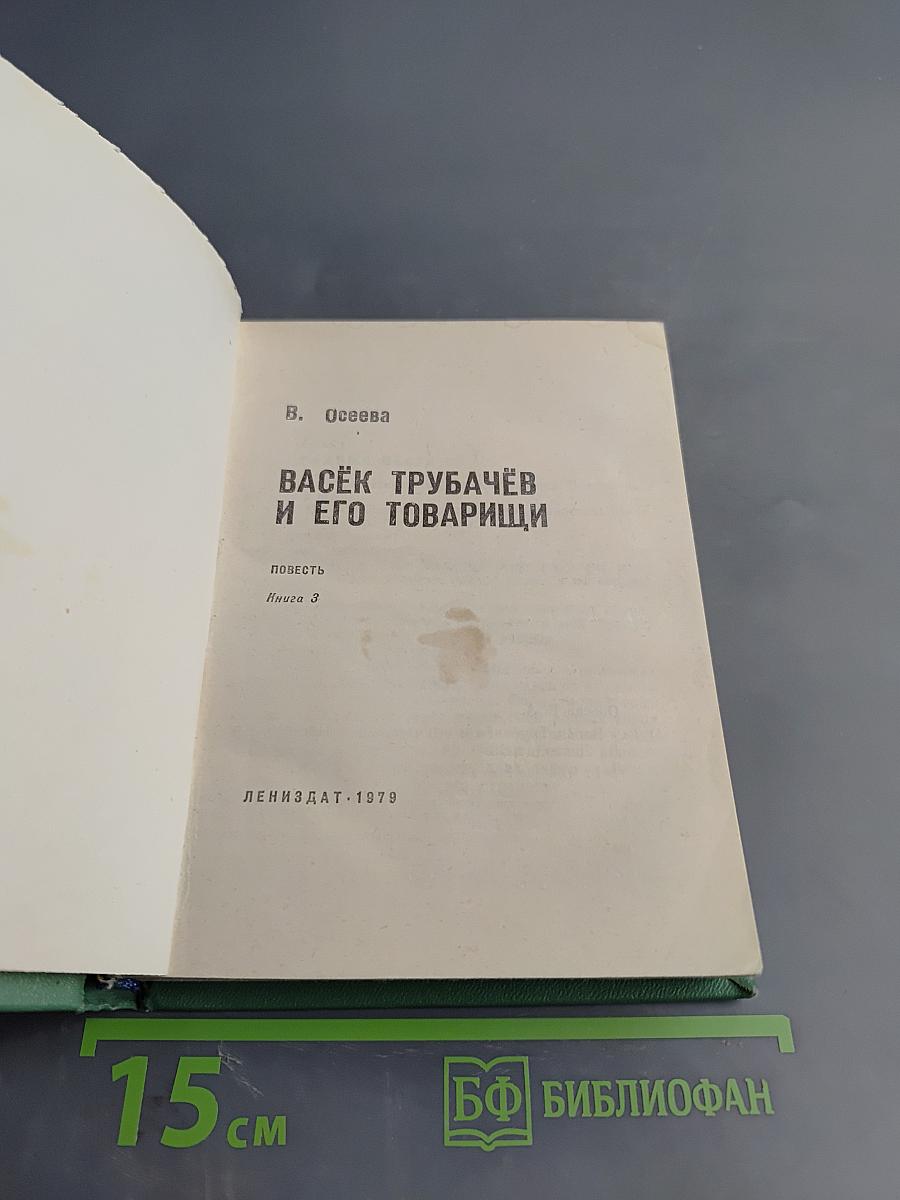 Васёк Трубачёв и его товарищи. Книга 3