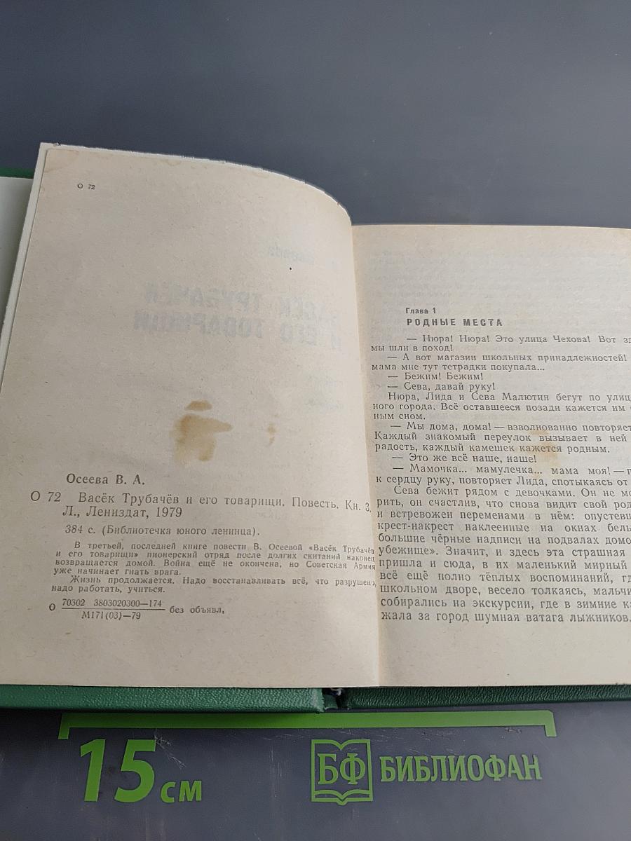 Васёк Трубачёв и его товарищи. Книга 3