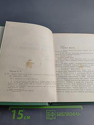 Васёк Трубачёв и его товарищи. Книга 3