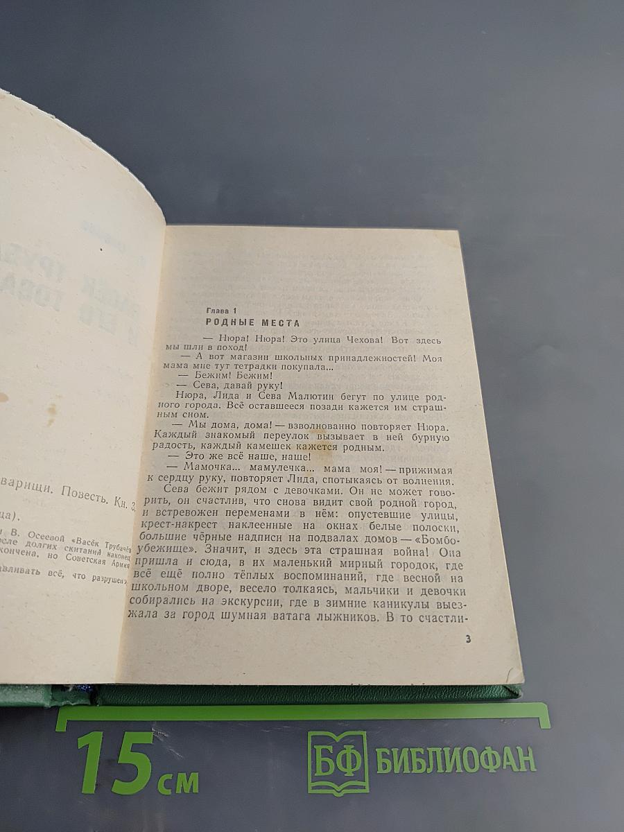 Васёк Трубачёв и его товарищи. Книга 3