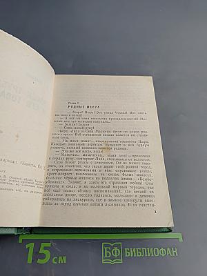 Васёк Трубачёв и его товарищи. Книга 3