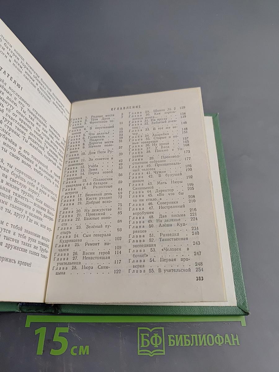 Васёк Трубачёв и его товарищи. Книга 3