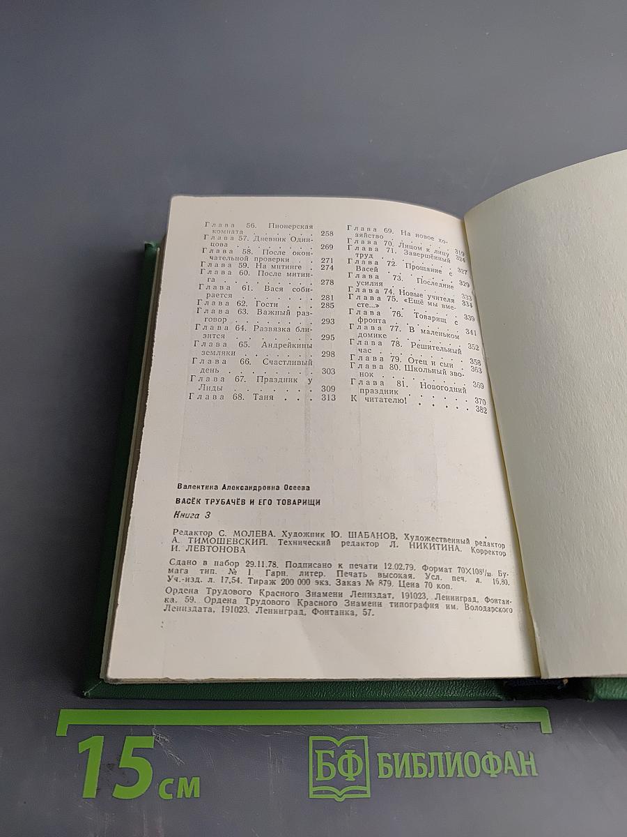 Васёк Трубачёв и его товарищи. Книга 3