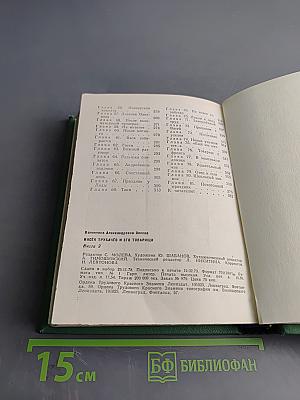 Васёк Трубачёв и его товарищи. Книга 3