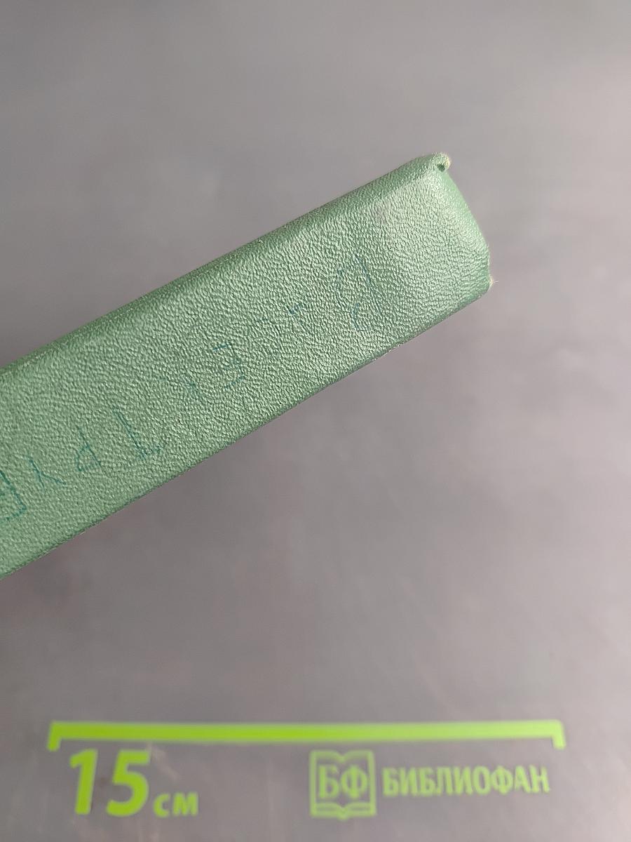 Васёк Трубачёв и его товарищи. Книга 3