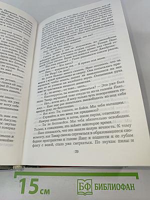 Путь наемника