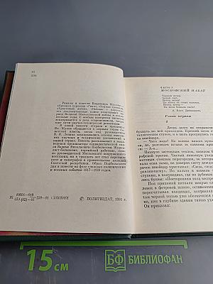 Страда и праздник. Повесть о Вадиме Подбельском