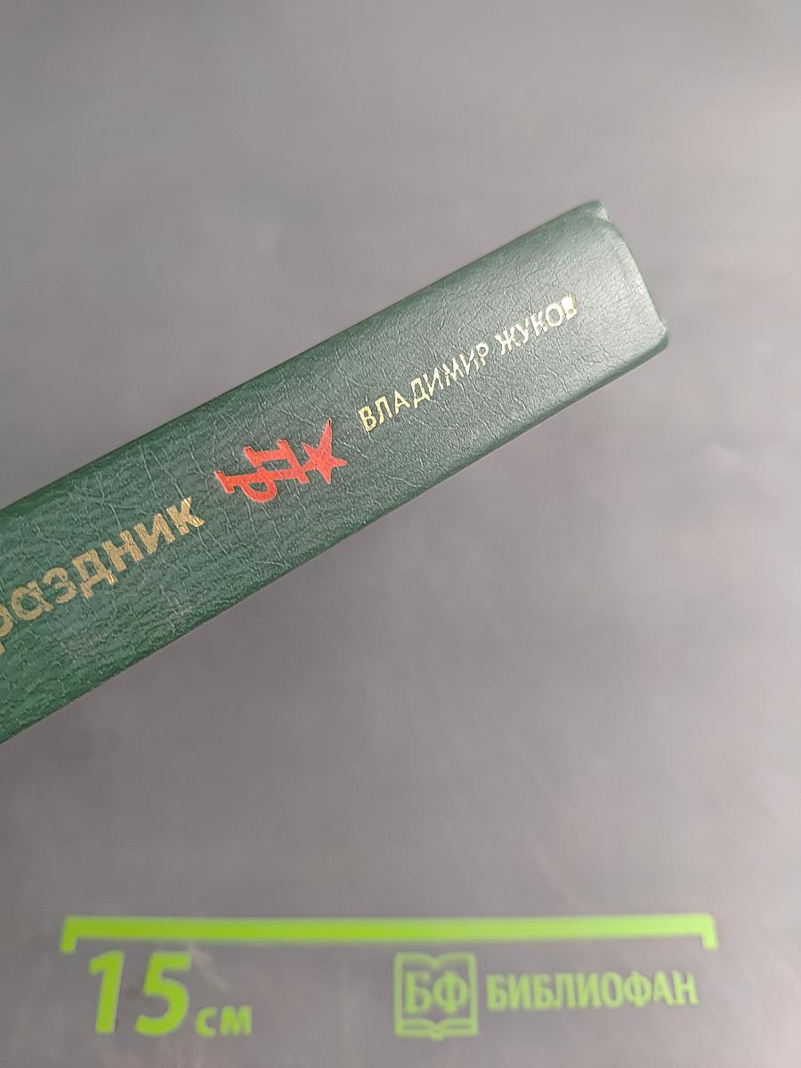 Страда и праздник. Повесть о Вадиме Подбельском