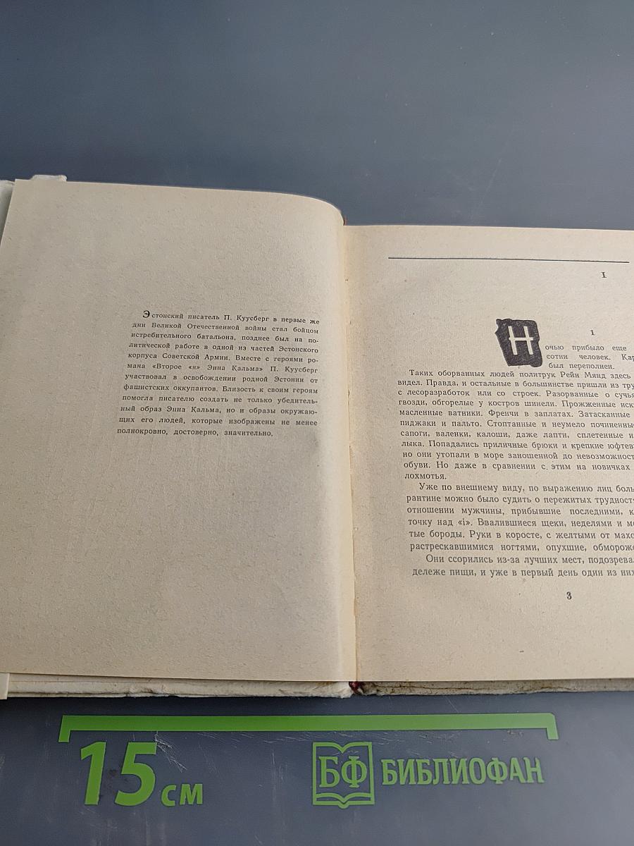 Второе "Я" Энна Кальма