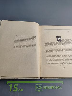 Второе "Я" Энна Кальма