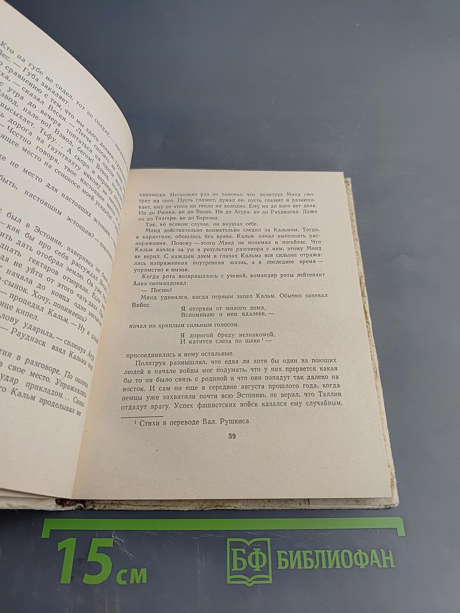 Второе "Я" Энна Кальма