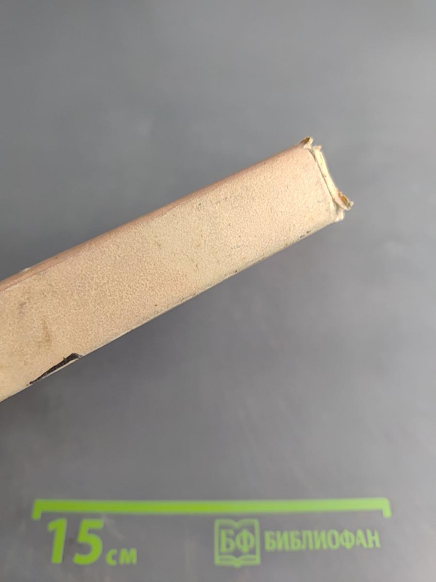 Второе "Я" Энна Кальма