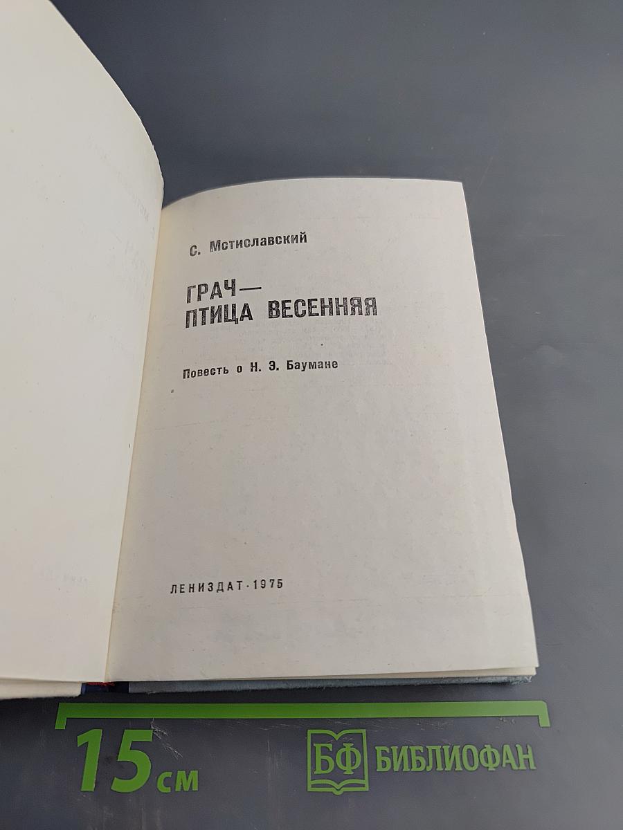 Грач — птица весенняя