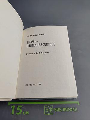 Грач — птица весенняя