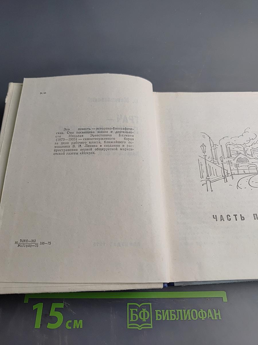 Грач — птица весенняя