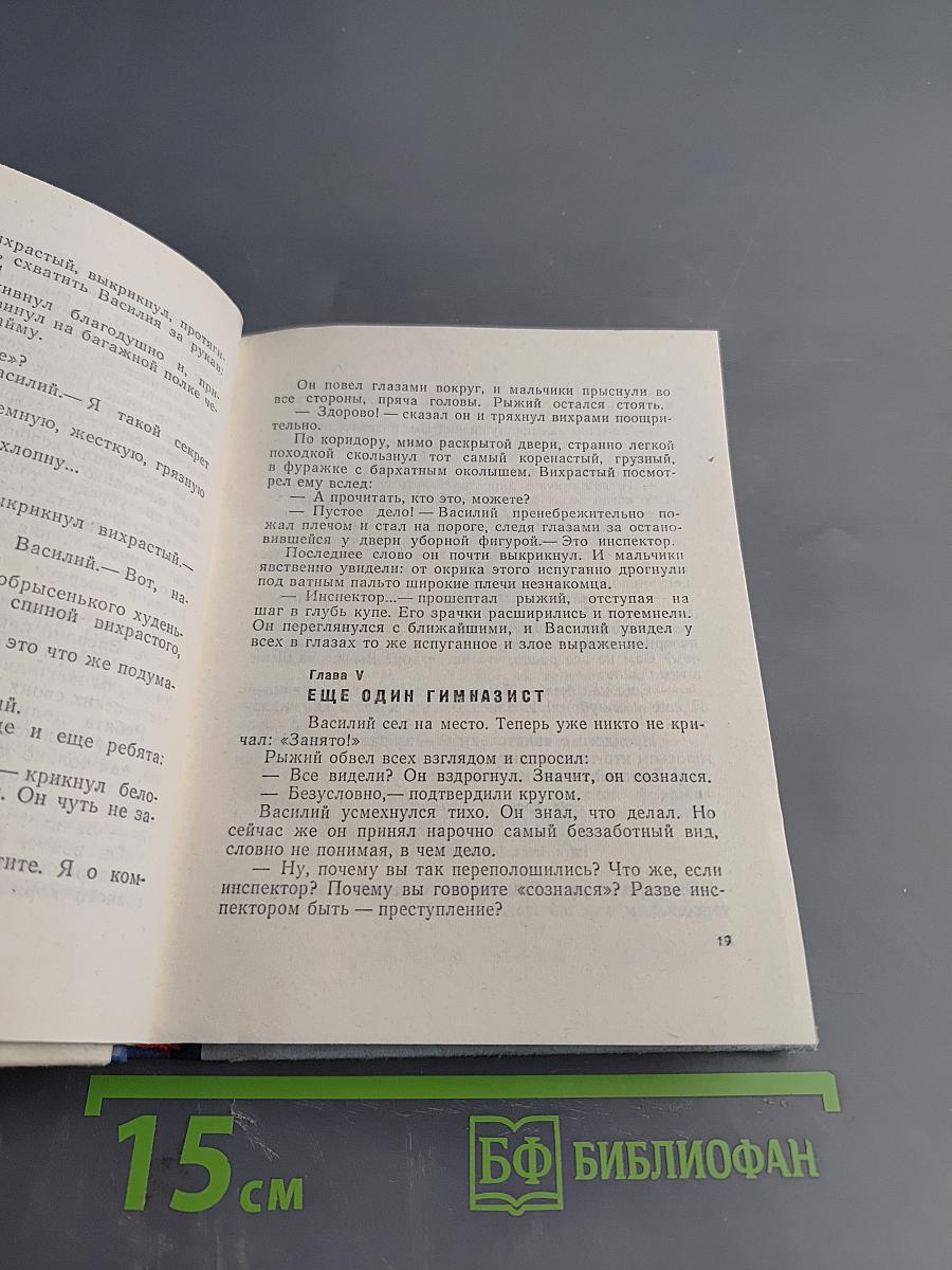 Грач — птица весенняя