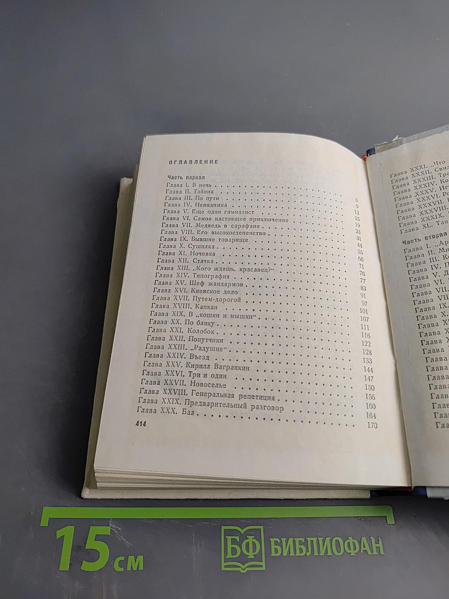 Грач — птица весенняя