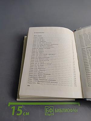 Грач — птица весенняя