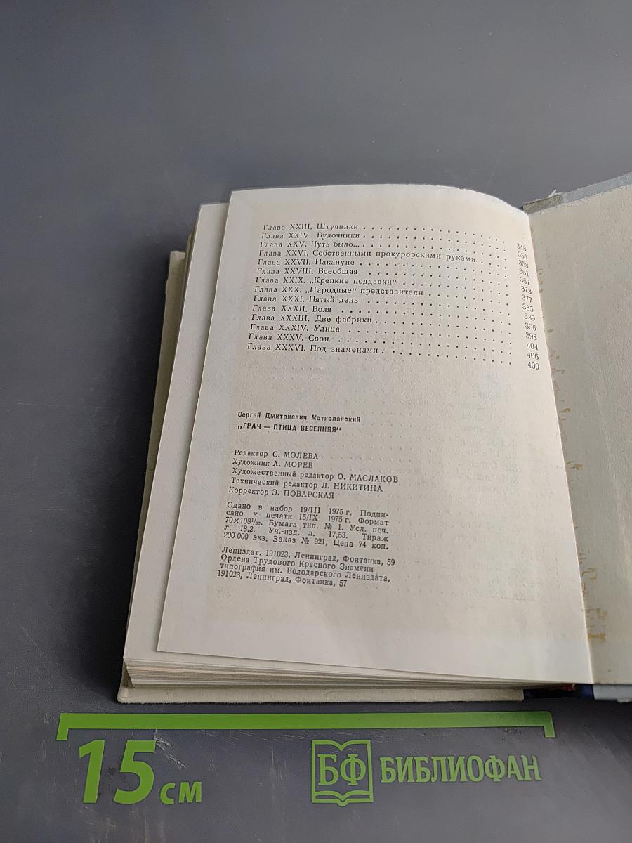 Грач — птица весенняя