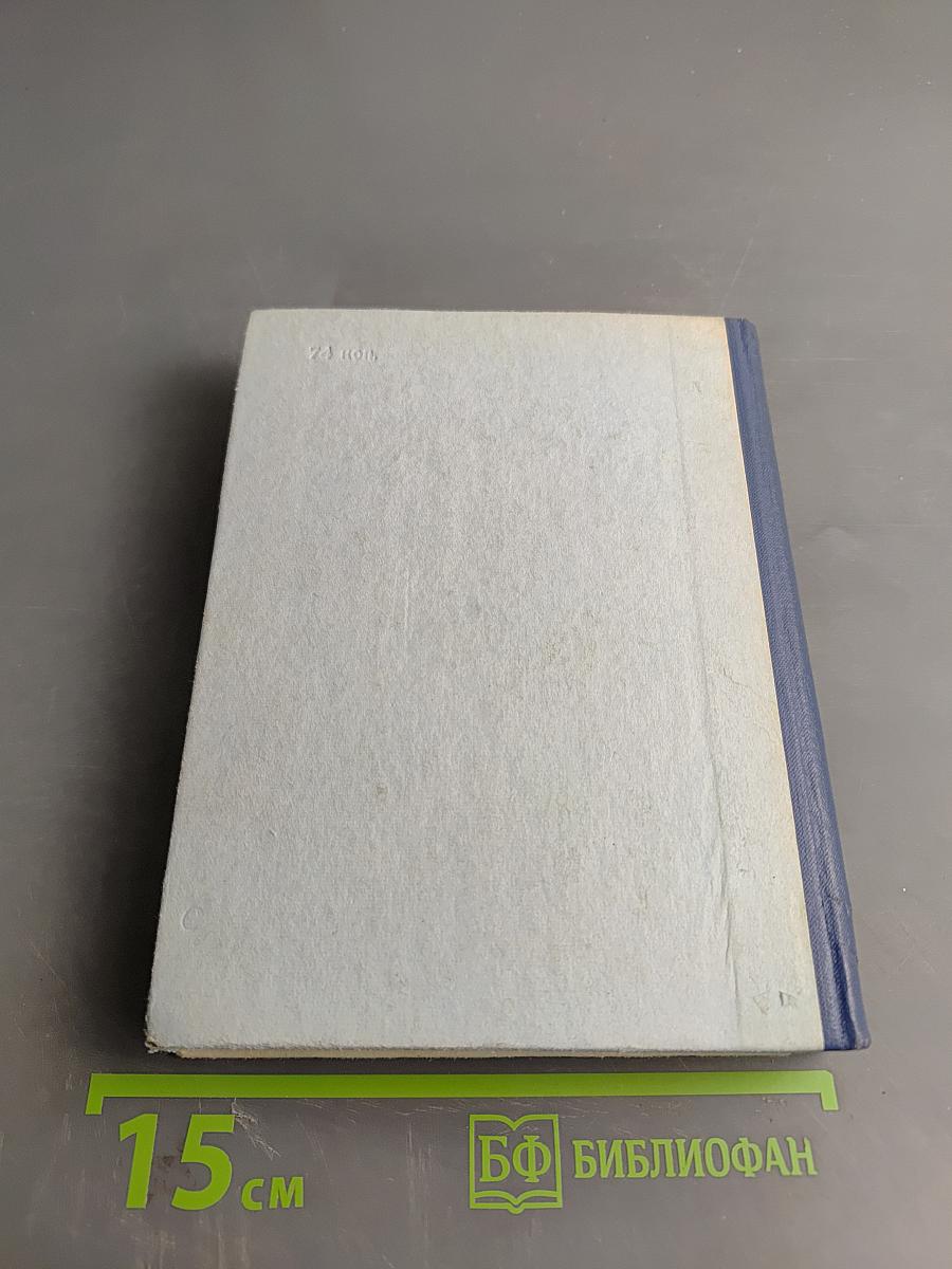 Грач — птица весенняя