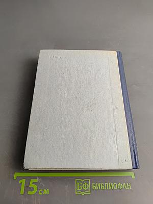 Грач — птица весенняя