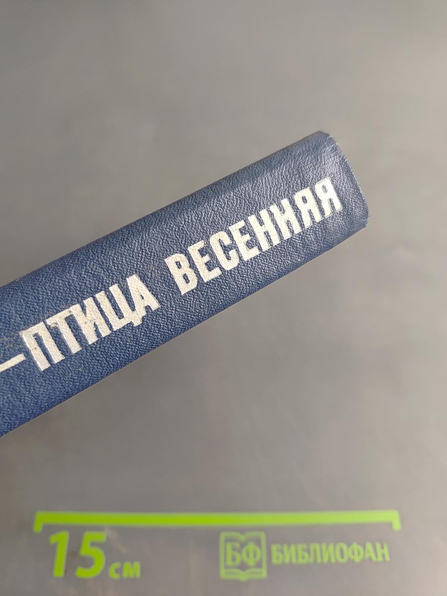 Грач — птица весенняя