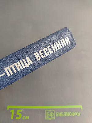 Грач — птица весенняя