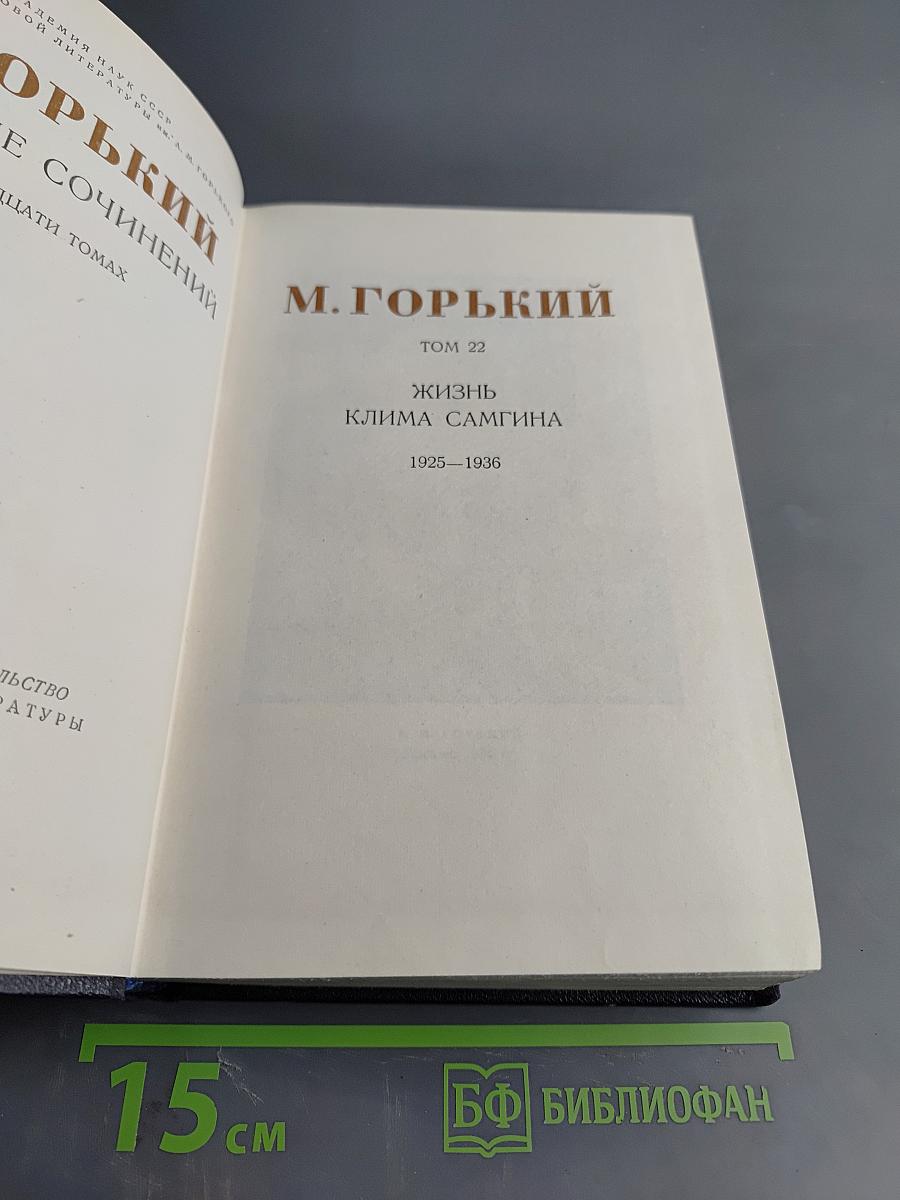 Жизнь Клима Самгина. Том 22