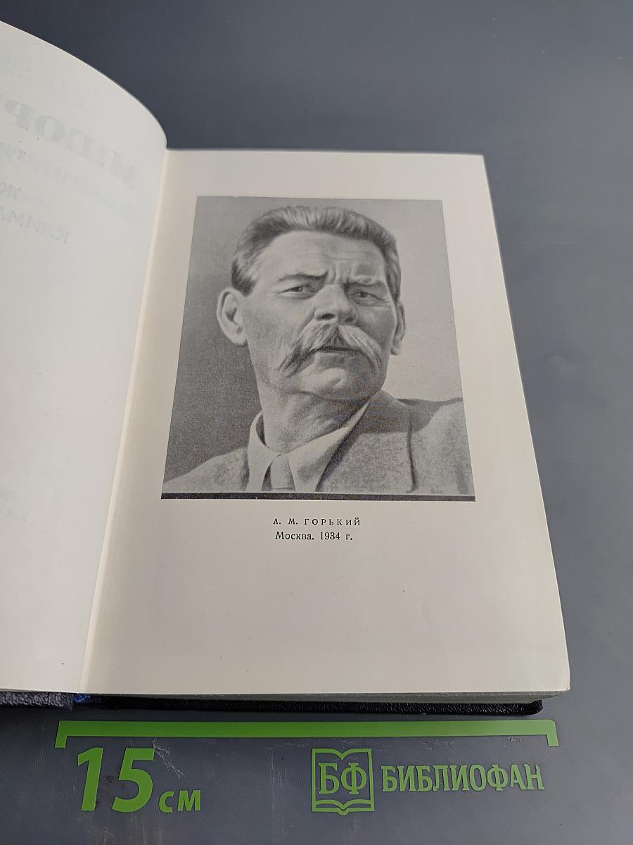 Жизнь Клима Самгина. Том 22