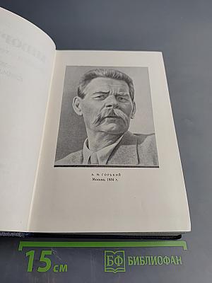 Жизнь Клима Самгина. Том 22