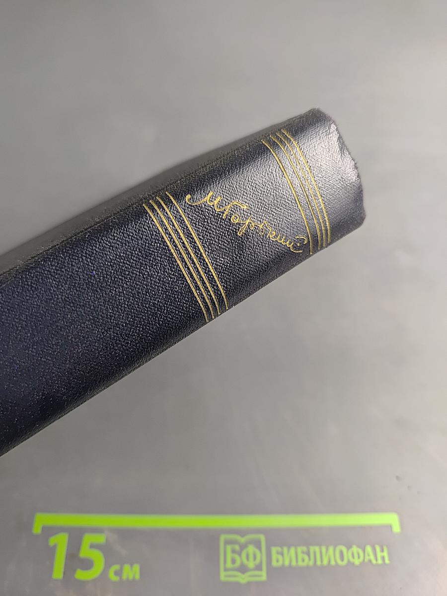 Жизнь Клима Самгина. Том 22