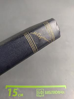 Жизнь Клима Самгина. Том 22