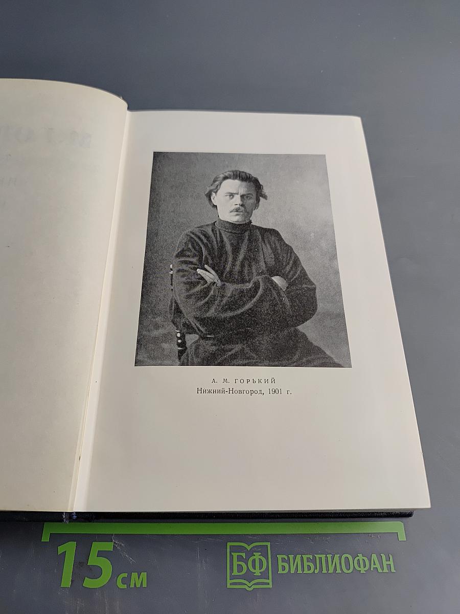 Собрание сочинений в 30 томах. Том 6. Пьесы. 1901-1906