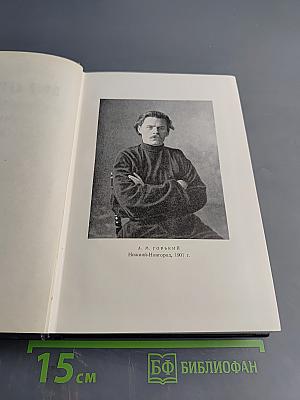 Собрание сочинений в 30 томах. Том 6. Пьесы. 1901-1906