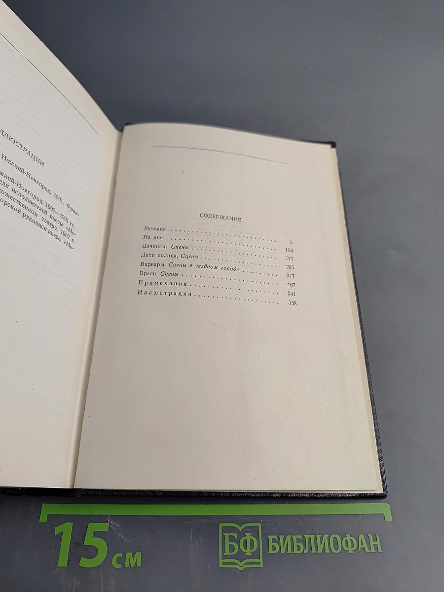Собрание сочинений в 30 томах. Том 6. Пьесы. 1901-1906