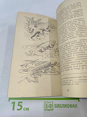 Очерки о филогенении и охране животного мира