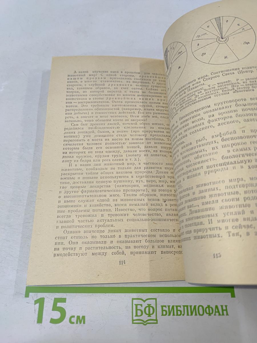 Очерки о филогенении и охране животного мира