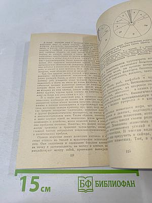 Очерки о филогенении и охране животного мира