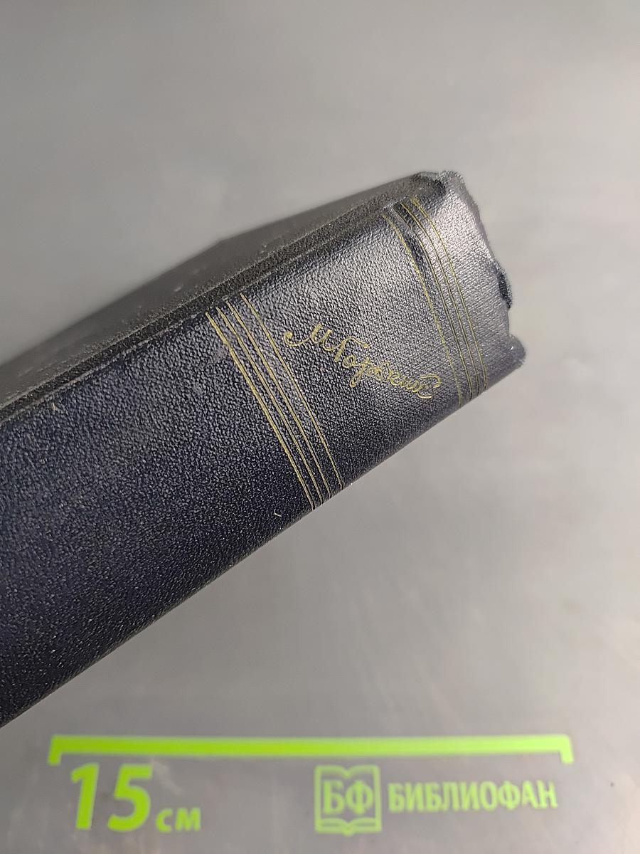 Собрание сочинений в 30 томах. Том 13. Повести 1913-1923