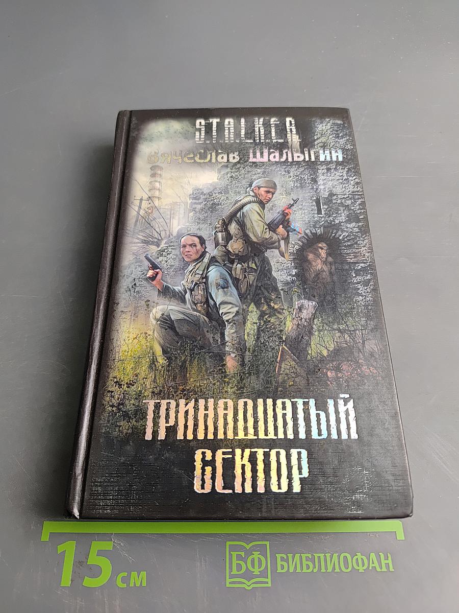 Тринадцатый сектор