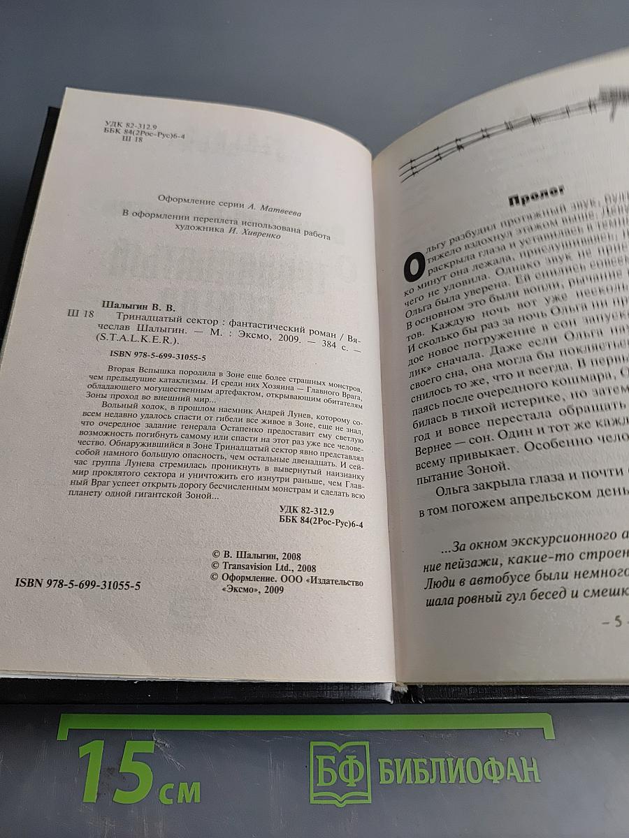 Тринадцатый сектор