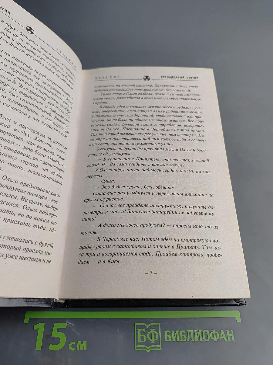 Тринадцатый сектор