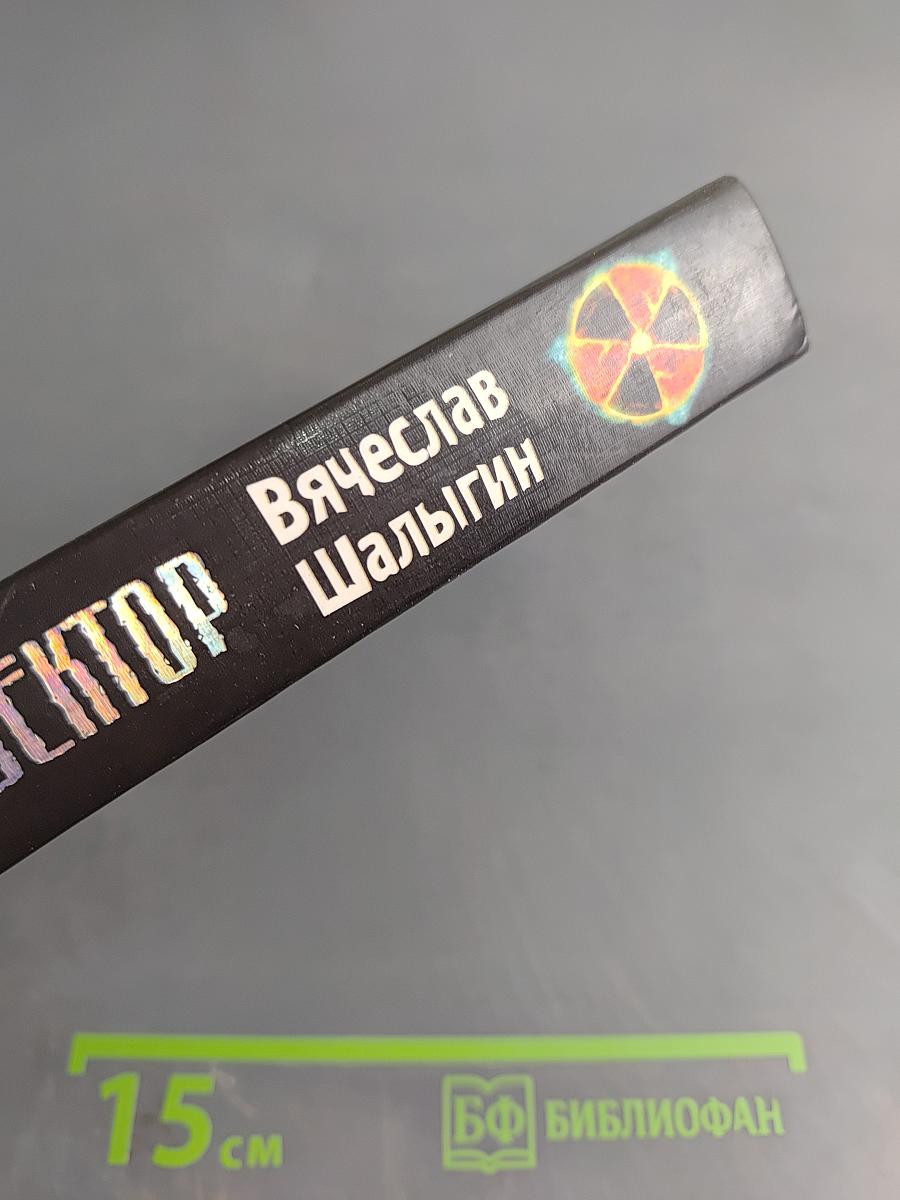 Тринадцатый сектор