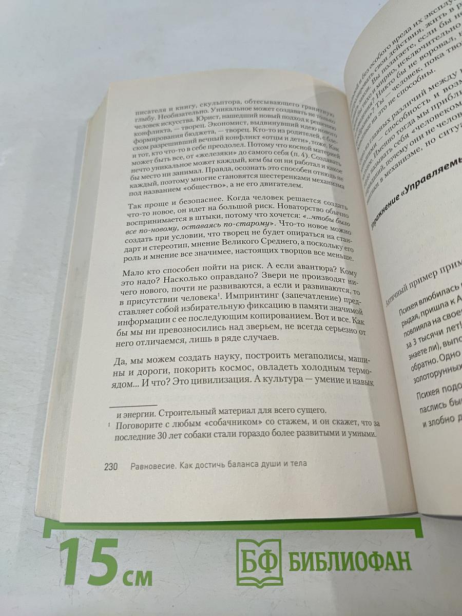 Равновесие. Как достичь баланса души и тела