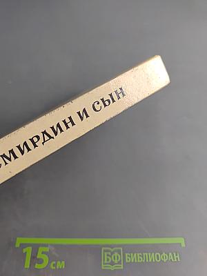 Смирин и сын