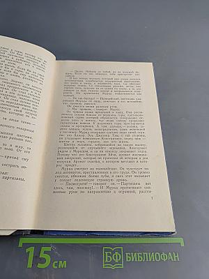 Пылающее небо