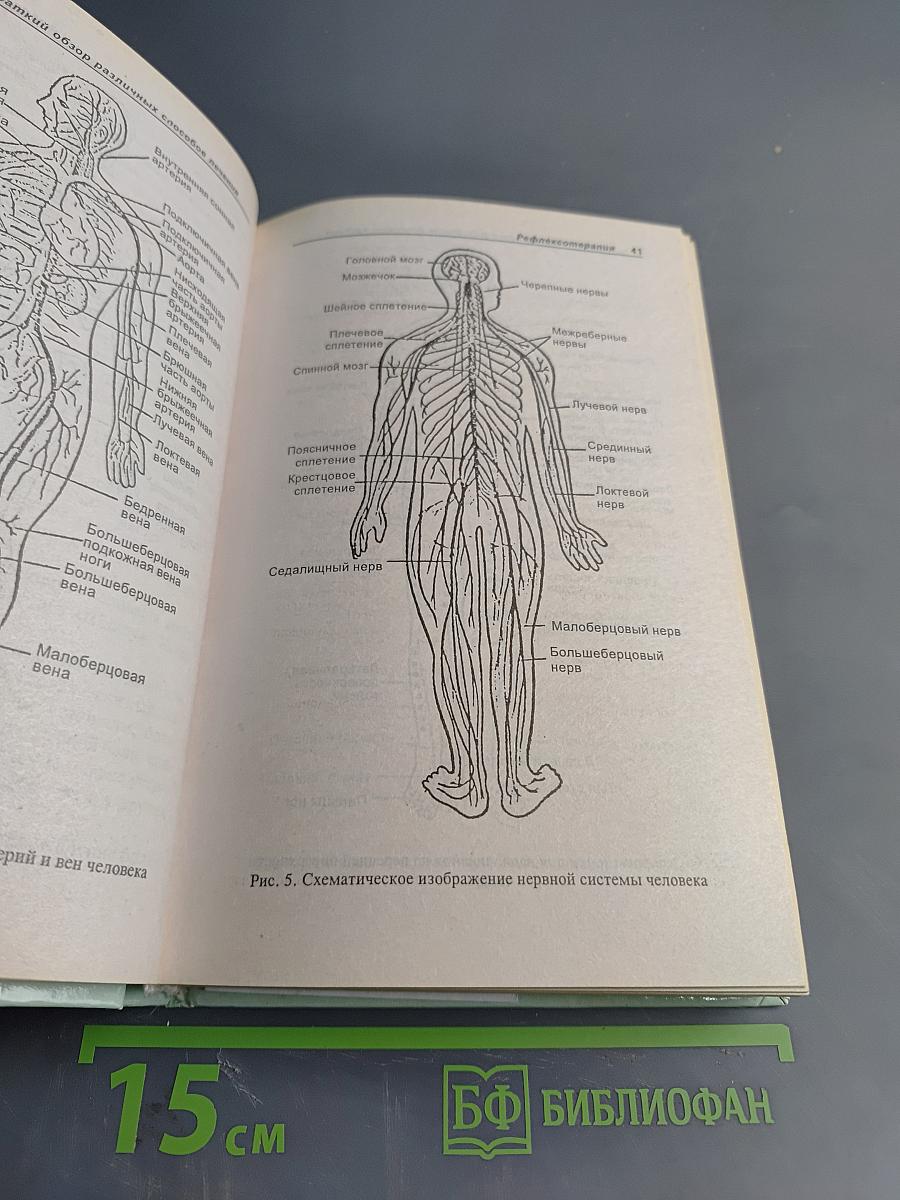 Популярный справочник-лечебник по традиционной и нетрадиционной медицине