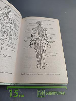 Популярный справочник-лечебник по традиционной и нетрадиционной медицине