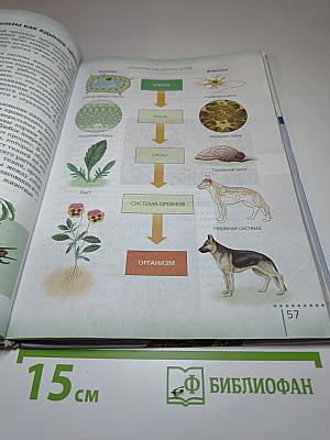 Биология. Живой организм 6 класс